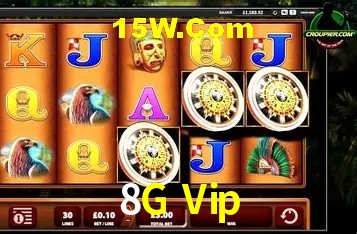 Segurança 2FA 8G Vip