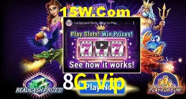 Experiência VIP 8G Vip